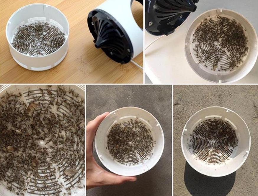 NightGuard- Kompakt Elektrisk Myggefanger med Støjsvag Vacuum og 365 nm Lys