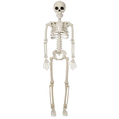 BoneBuddy – Livsstort Skelet til Halloween og Sæsondekoration