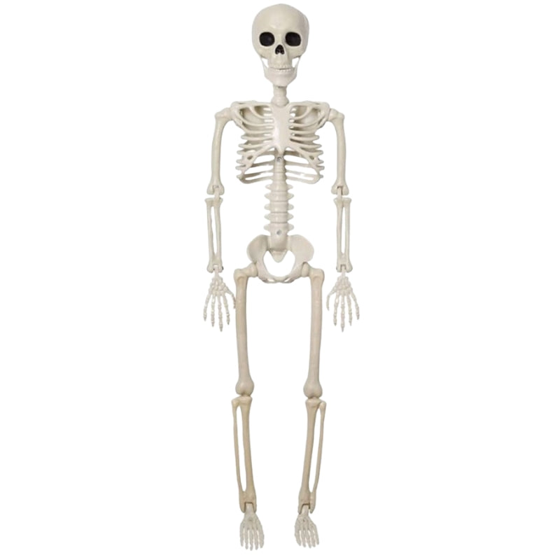 BoneBuddy – Livsstort Skelet til Halloween og Sæsondekoration